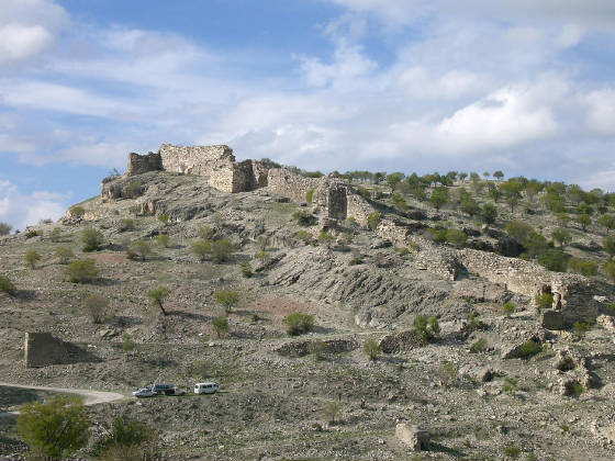 cimg0310.jpg